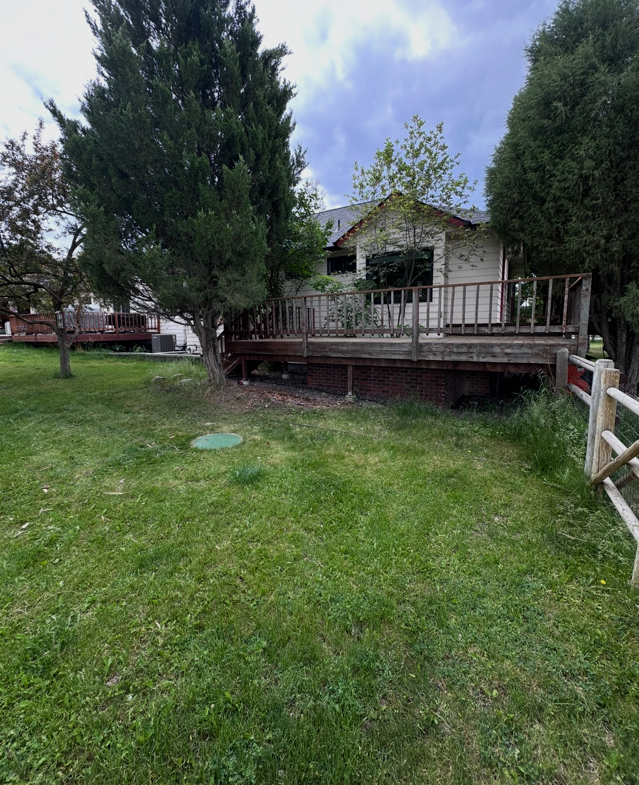 After: Clean, organized backyard space