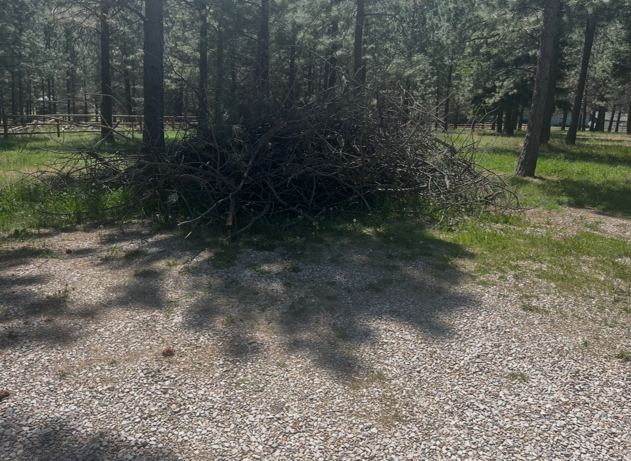Before: Large pile of brush and yard waste debris